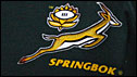 Springbok logo on rugby shirt