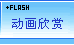 Flash