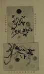 ill_5.3